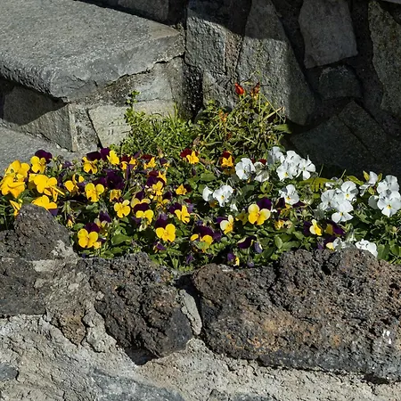 Vesuvian Stone 4* ポンペイ