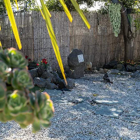 ベッド・アンド・ブレックファスト Vesuvian Stone